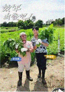 凌晨四点的菜场剧集条目卡片图